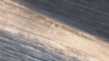 「どうして…許せない」“現存１２天守”宇和島城に“N”落書き　文化財保護法違反で被害届提出へ【愛媛】