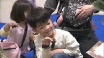 生きた“ヘラクレス”や“アトラス”も！松山に「世界の昆虫」大集合　標本など約５００種類【愛媛】