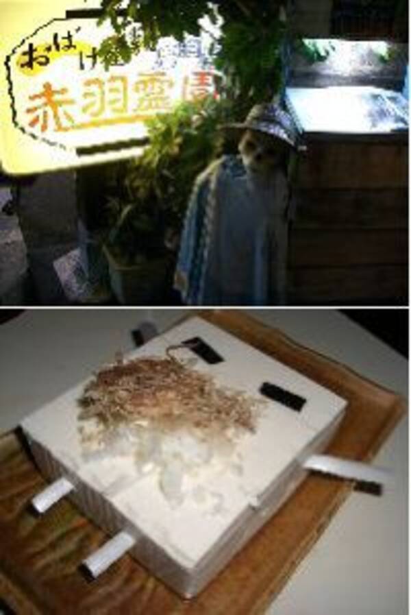 元祖・お化け屋敷居酒屋「赤羽霊園」に行ってみた