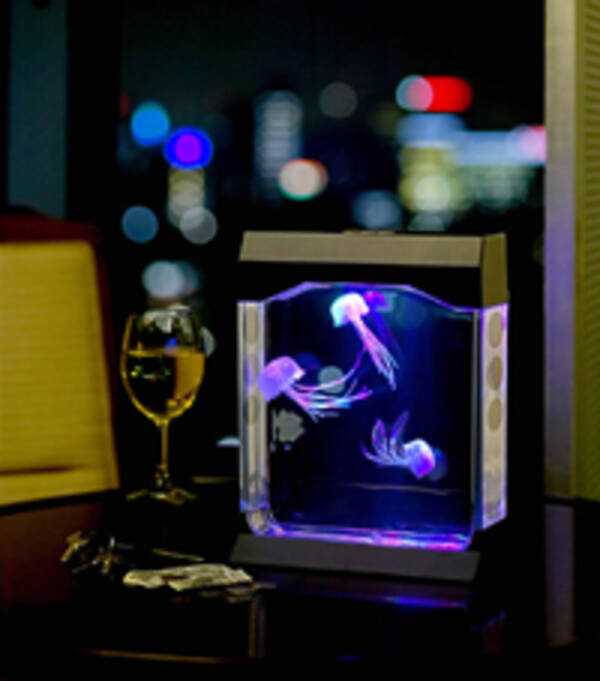 ゆらめくクラゲで癒されてみない？