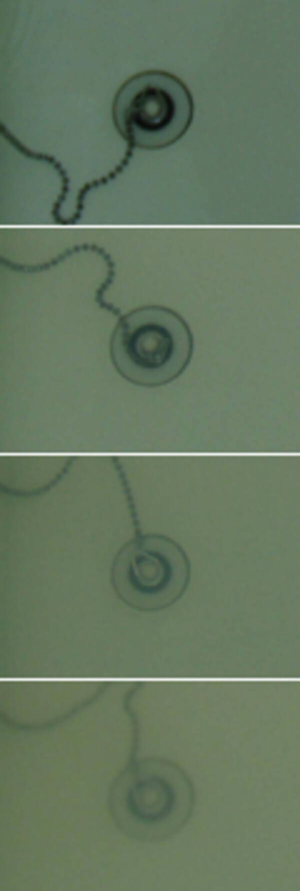 お風呂の水、何日間なら替えなくても平気か