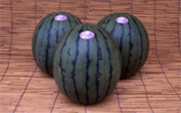 スイカにはアイスクリームという品種があった 05年7月22日 エキサイトニュース