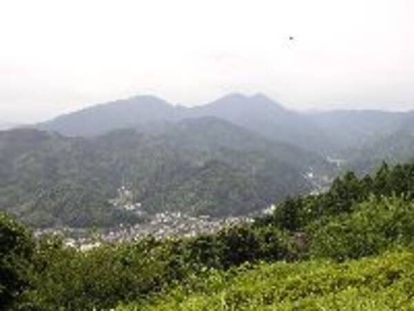 朝イチの花粉がいちばんキツイ理由って？