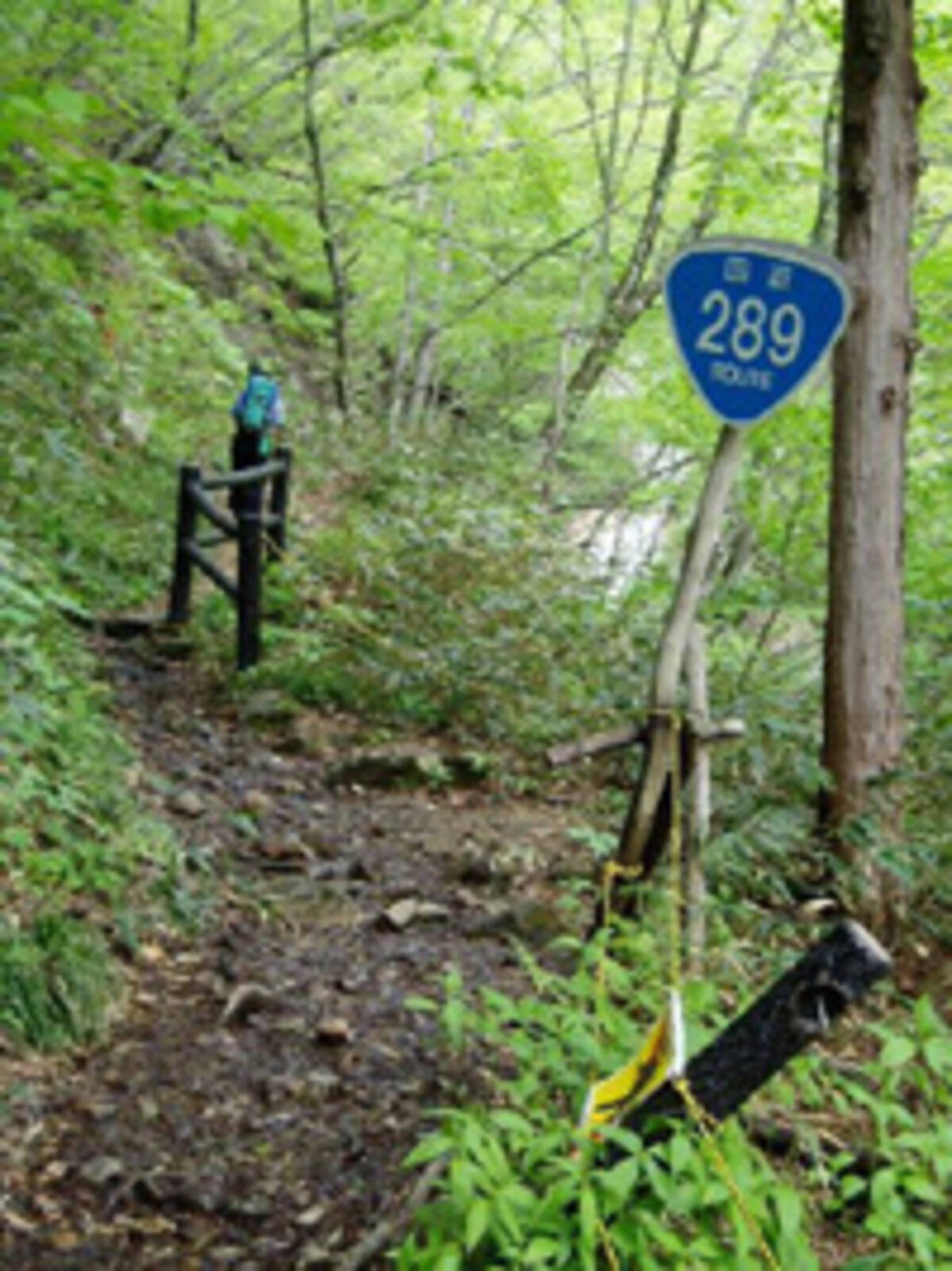 山道を行く 登山国道 を歩いてみた 05年6月26日 エキサイトニュース