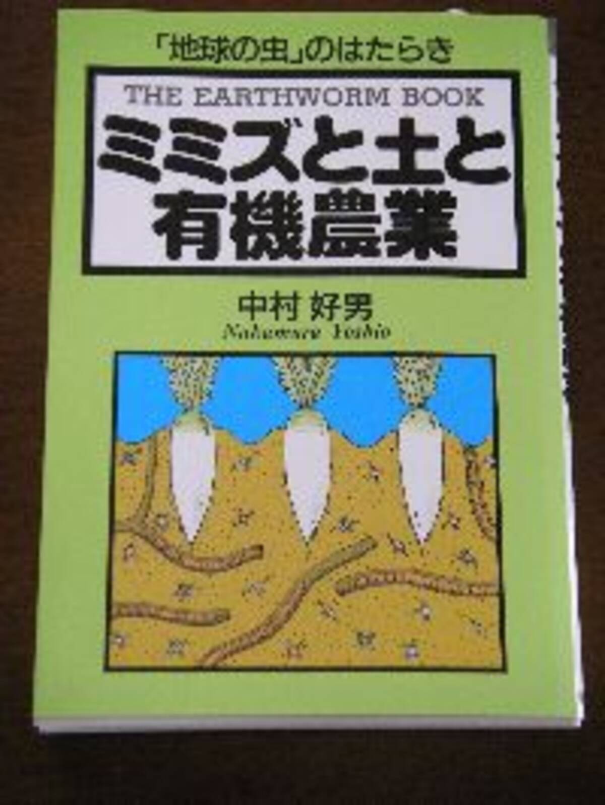 干からびたミミズはどこを目指していたのか 07年6月25日 エキサイトニュース