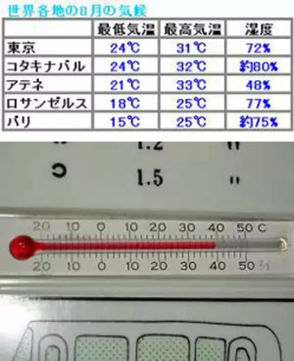 夏の東京はもともとジャングルと同じ気候だった