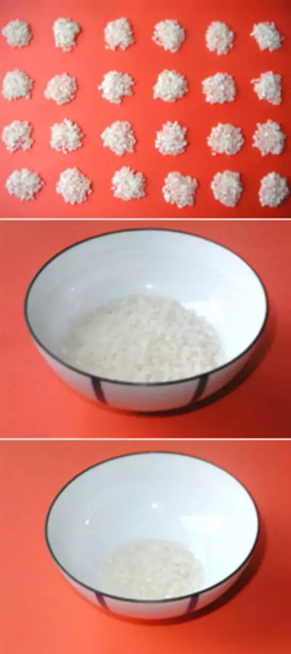 米作りの全過程をバケツで体験できるセットとは