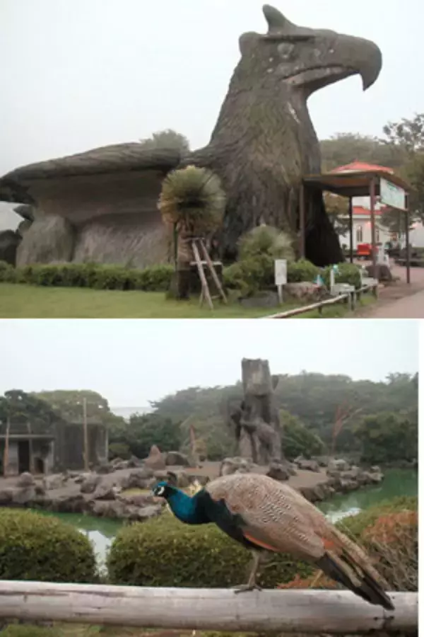 伊豆シャボテン公園、サボテンではなくてシャボテンのワケ