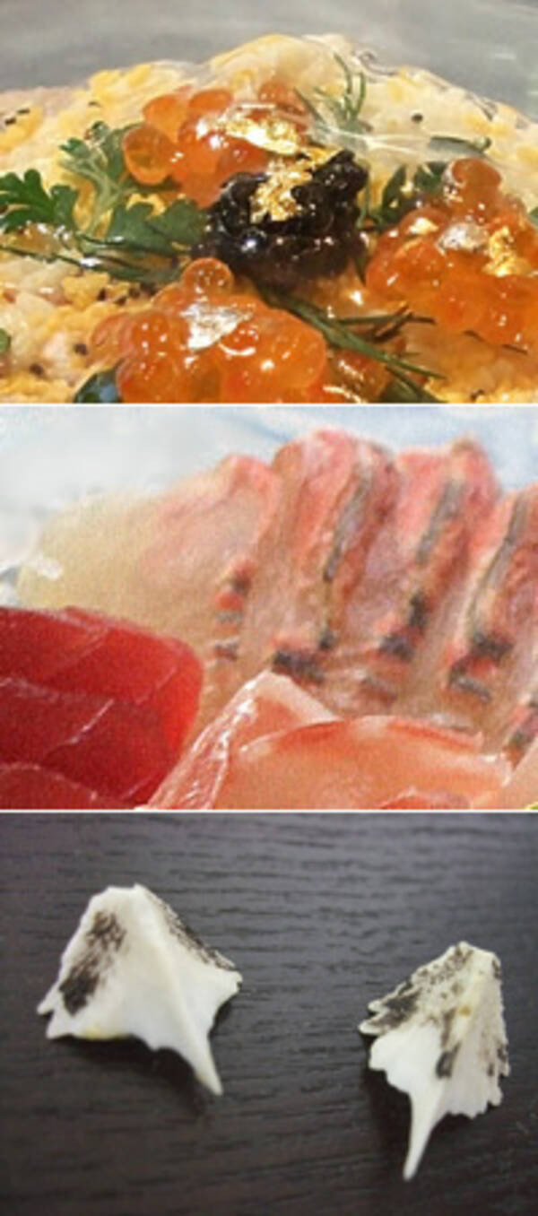 キャビアだけじゃない チョウザメの魅力 08年5月25日 エキサイトニュース