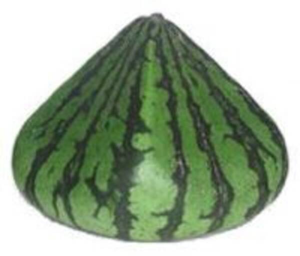 いよいよピラミッド型も登場 なぜ 珍スイカ がどんどん出るのか 05年7月22日 エキサイトニュース