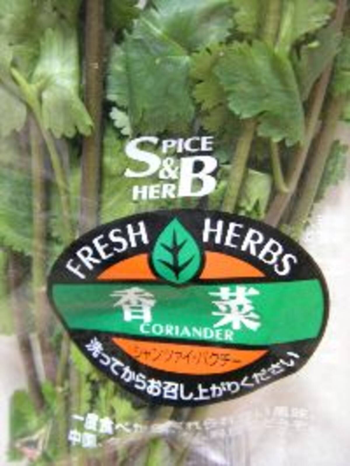 パクチーの名前がいろいろある理由って 07年12月19日 エキサイトニュース