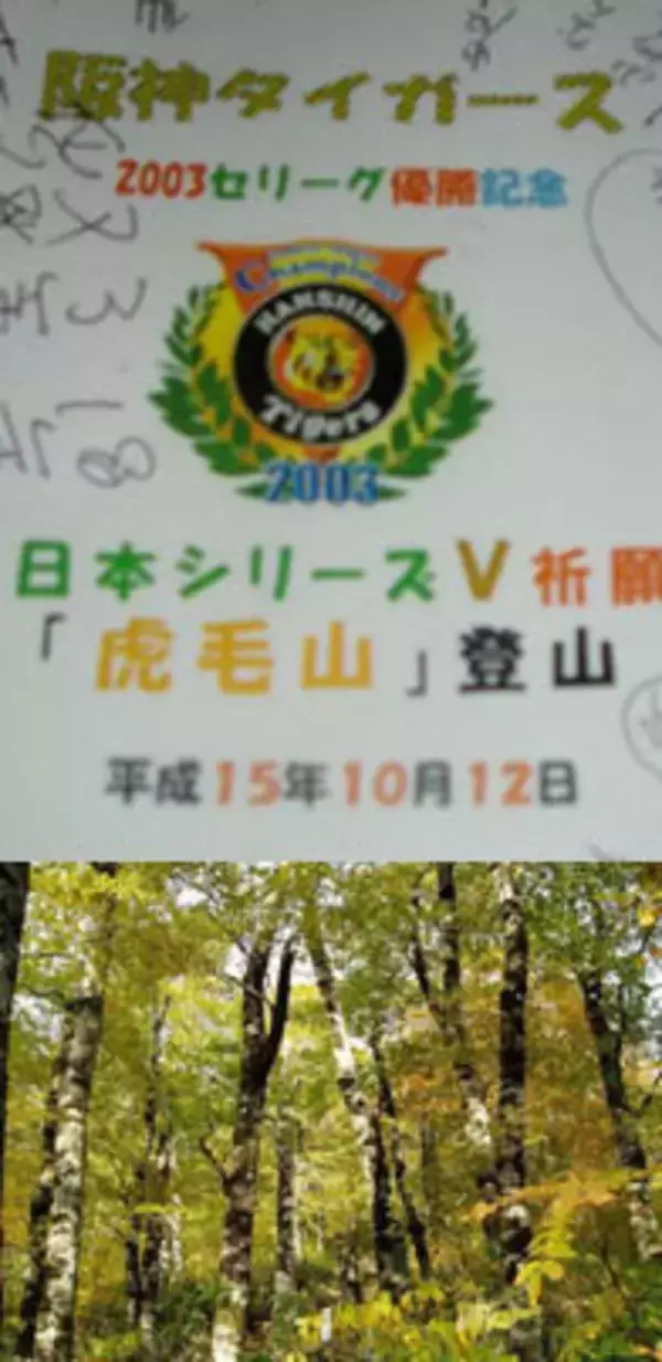 秋田県にある「阪神タイガースの山」
