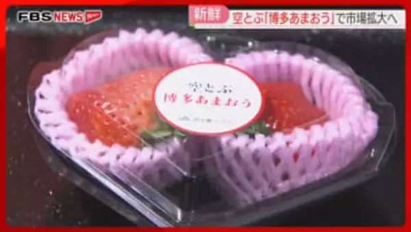 空とぶ「博多あまおう」市場拡大へ　空輸で首都圏に「新鮮なものをいち早く」