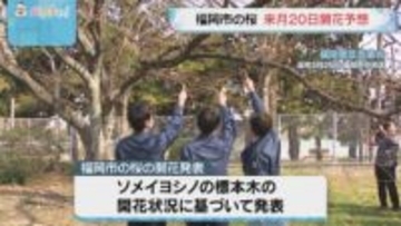 日本気象協会　桜の開花予想を発表　福岡市は全国で最も早い3月20日