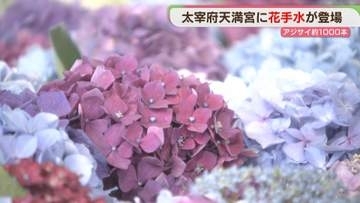 アジサイが浮かぶ「花手水」太宰府天満宮で凉を感じて　福岡