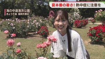 【季節外れ】真夏日に1800株のバラが見頃　久留米市は猛暑日の一歩手前の暑さ　福岡