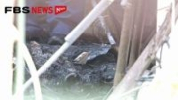 「煙が見える」住宅の敷地内の倉庫が焼ける　近くの人が煙を吸って病院に搬送　福岡