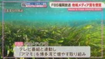 FBSに地域メディア賞　再エネ・アマモ・清掃活動に取り組む「Media is Hope AWARD」