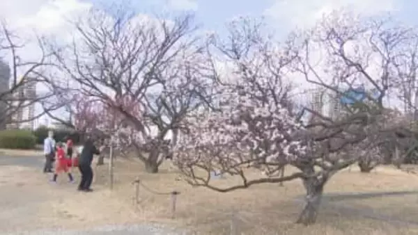 九州北部で「春一番」吹く 気温も上がり2月の観測史上最高を更新した地点も【福岡管区気象台】