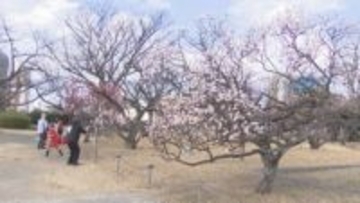 九州北部で「春一番」吹く 気温も上がり2月の観測史上最高を更新した地点も【福岡管区気象台】