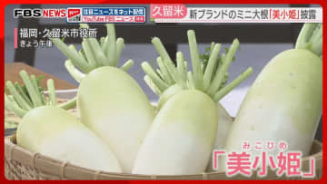 久留米の新ブランド大根「美小姫」お披露目　15～30センチと短く甘みが強い　ことし初めて生産　福岡