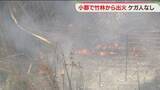 「竹林1500平方メートルが焼ける　1時間半後に鎮火　建物への延焼なし　福岡」の画像1