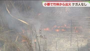 竹林1500平方メートルが焼ける　1時間半後に鎮火　建物への延焼なし　福岡