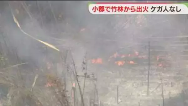 竹林1500平方メートルが焼ける　1時間半後に鎮火　建物への延焼なし　福岡