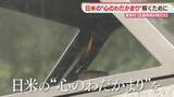 「日米の「心のわだかまり」解くために　ハワイの真珠湾に運んだ「原爆の残り火」」の画像1
