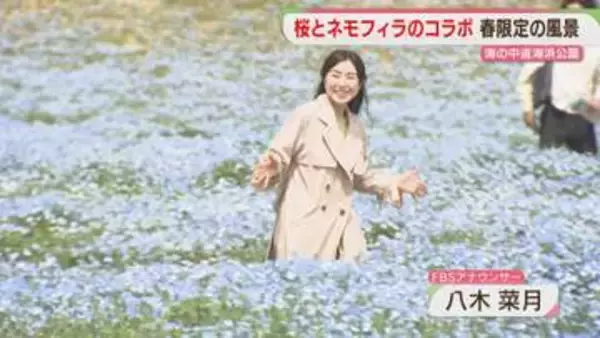 【今だけ】100万本のネモフィラと満開の桜　県内はことし初の夏日のところも　福岡
