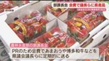 「部課長会」県議会議長らに「あまおう」「博多和牛」政治資金パーティーへの支出は取りやめ決定　福岡