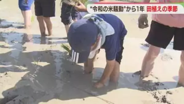 「おいしくなってほしいな」小学生が田植えに挑戦　北九州市