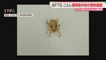 マダニ媒介のウイルス感染症「SFTS」福岡でことし初の確認　注意点は