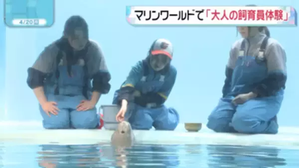 4（し）19（いく）の日に初開催「大人の飼育員体験」　マリンワールド海の中道