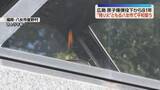 「「原爆の残り火」福岡でも平和を誓う　広島原爆投下から81年」の画像1