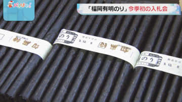 「福岡有明のり」　福岡・柳川市で今シーズン初の入札会