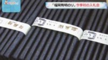 「福岡有明のり」　福岡・柳川市で今シーズン初の入札会