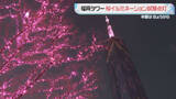 「福岡タワーは春満開に 桜イルミネーション点灯 3月6日～4月12日」の画像1