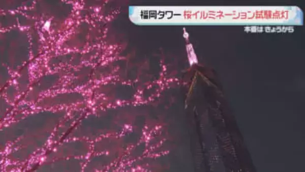 福岡タワーは春満開に 桜イルミネーション点灯 3月6日～4月12日