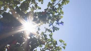 【気象情報】久留米市で35.5℃の猛暑日　全国で最も暑く　午後3時40分現在