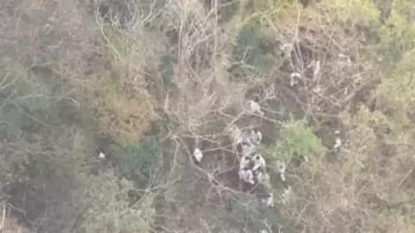 八女小型機墜落 死亡した3人の身元確認 京都市の男性2人と神戸市の男性