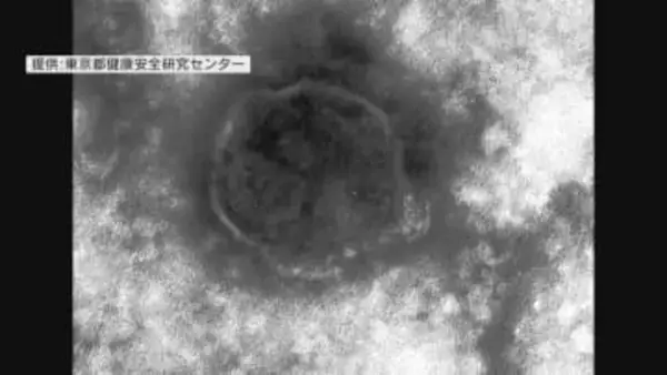 【詳しく】はしか患者の男性　福岡市地下鉄で不特定多数の人と接触した可能性　症状が出たら医療機関に連絡して受診を