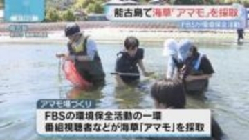 福岡市の能古島でアマモ場づくり活動　FBS視聴者などが参加