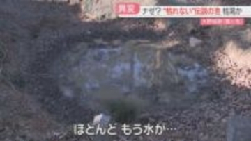 【異変】「枯れない」という伝説の池　なぜか水たまり程度に　周辺にイノシシが荒らした跡　福岡