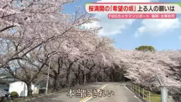 キャンパスに続く「希望の坂」桜が満開に　願いを胸に上る人々【カメリポ】