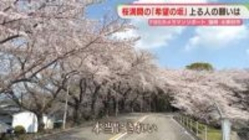 キャンパスに続く「希望の坂」桜が満開に　願いを胸に上る人々【カメリポ】