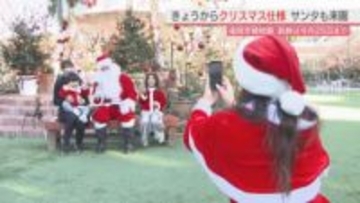 福岡市植物園の温室前広場が花やオーナメントでクリスマス仕様に　6日は“あわてんぼう”のサンタクロースも登場　装飾は25日まで