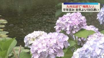 九州北部「梅雨入り」平年並み　舞鶴公園にはアジサイの花