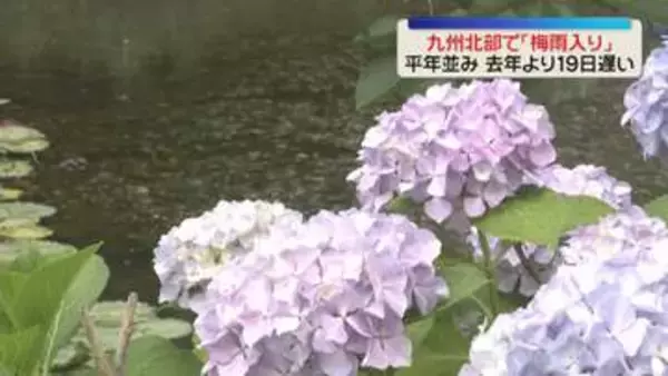 九州北部「梅雨入り」平年並み　舞鶴公園にはアジサイの花