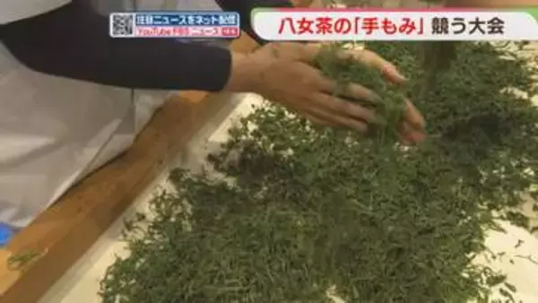 【八女茶】「手もみ」技術を競う　国の無形文化財　伝統を若い世代へ　福岡